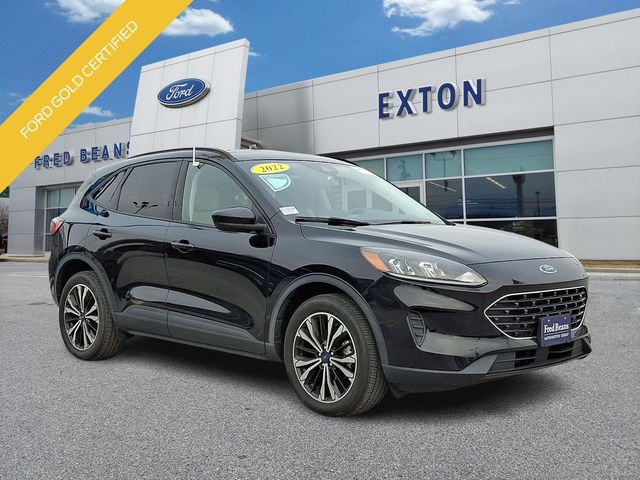 2022 Ford Escape SE's photo
