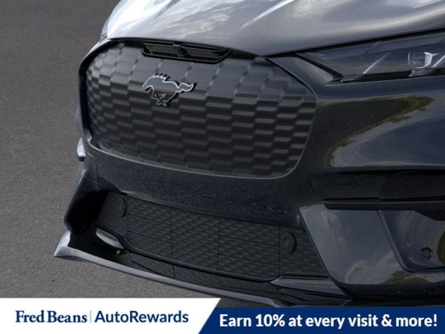 2025 Ford Mustang Mach-E GT - Photo 18