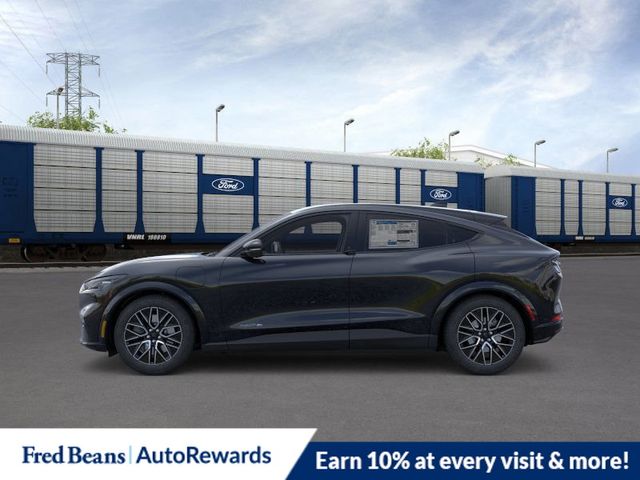 2025 Ford Mustang Mach-E Premium photo 3