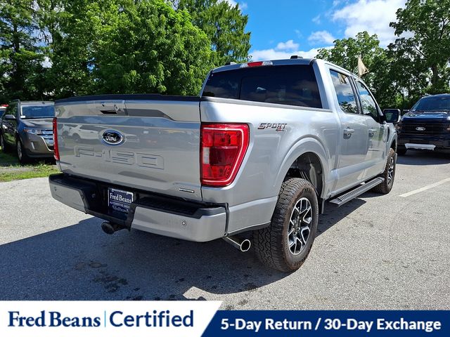 2023 Ford F-150 XLT - Photo 11