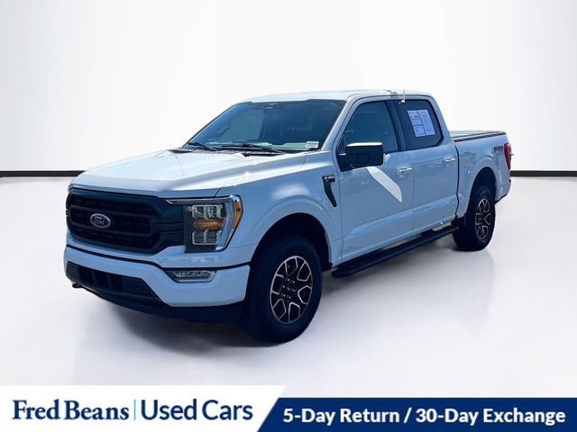 2023 Ford F-150 XLT photo 3