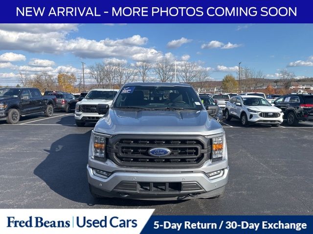 2023 Ford F-150 XLT photo 2