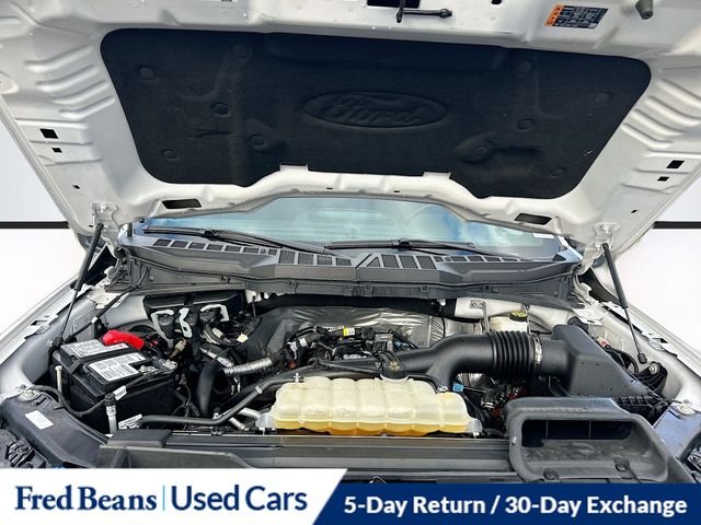 2023 Ford F-150 XLT's photo