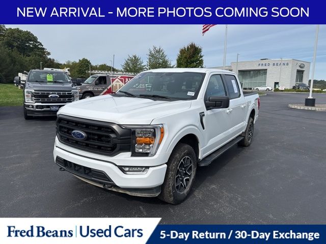 2023 Ford F-150 XLT photo 3