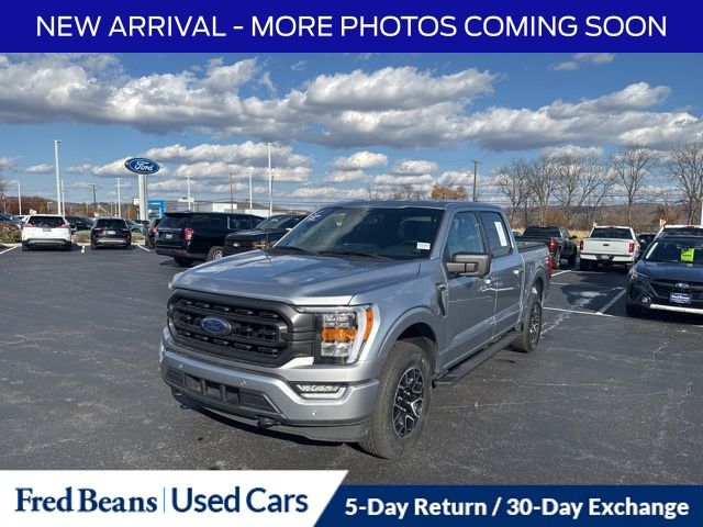 2023 Ford F-150 XLT photo 3