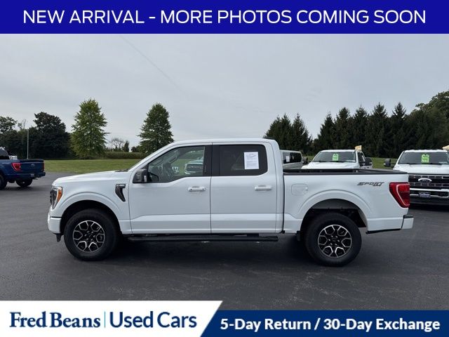 2023 Ford F-150 XLT photo 4