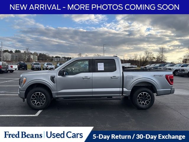 2023 Ford F-150 XLT photo 4