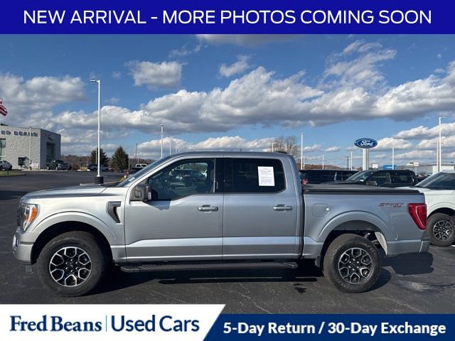 2023 Ford F-150 XLT photo 4