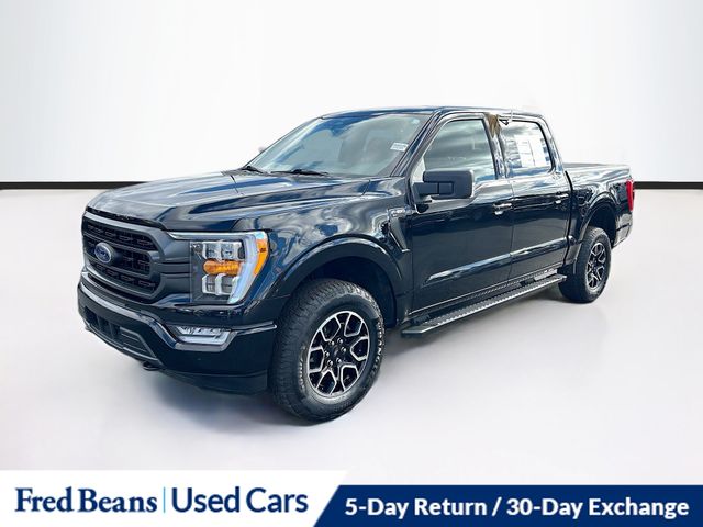 2023 Ford F-150 XLT photo 3