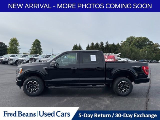 2023 Ford F-150 XLT photo 2