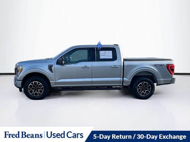 2023 Ford F-150 XLT photo 4