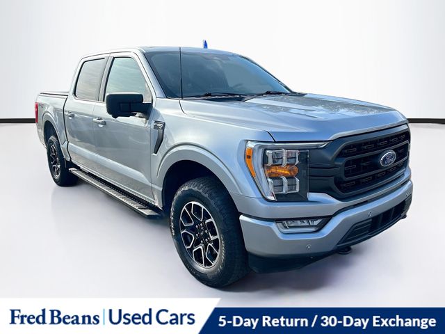 2023 Ford F-150 XLT's photo