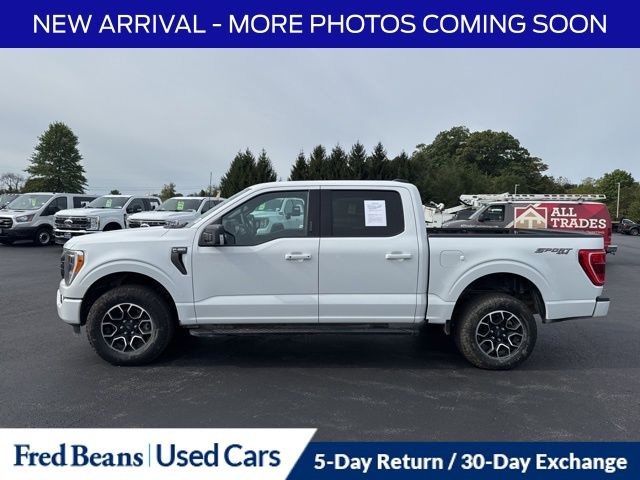 2023 Ford F-150 XLT photo 4