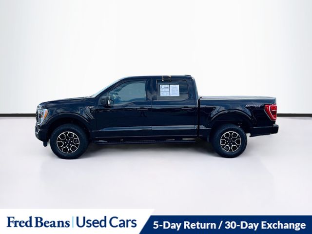 2023 Ford F-150 XLT photo 4