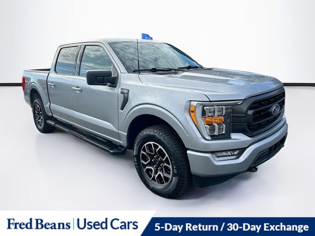 2023 Ford F-150 XLT's photo
