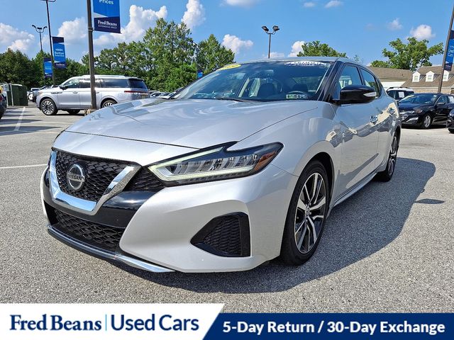 2019 Nissan Maxima SV photo 4