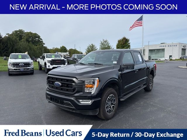 2023 Ford F-150 XLT photo 3