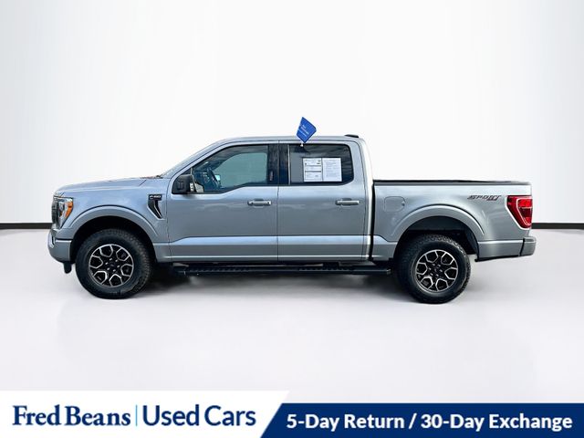 2023 Ford F-150 XLT photo 4