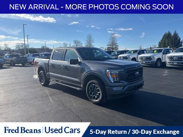 2023 Ford F-150 XLT's photo