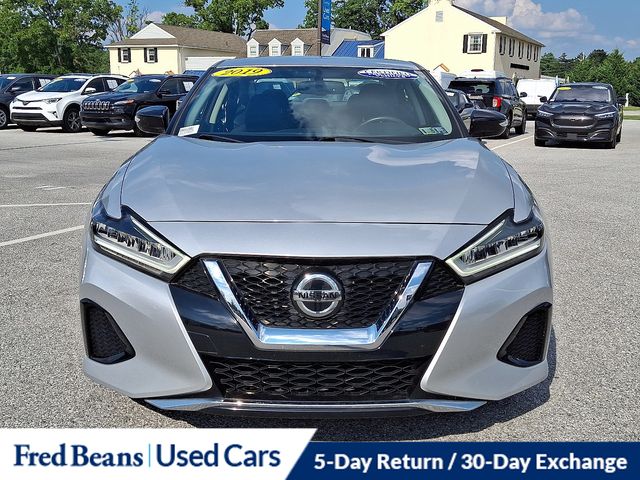 2019 Nissan Maxima SV photo 3