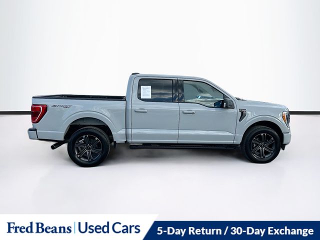 2023 Ford F-150 XLT photo 4