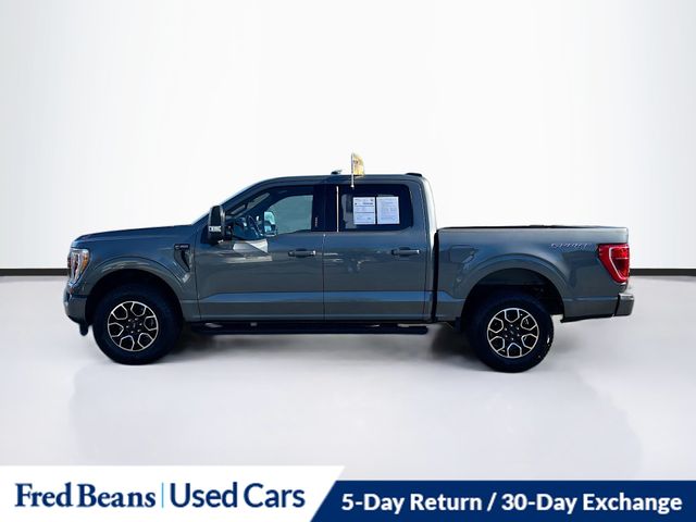 2023 Ford F-150 XLT photo 4