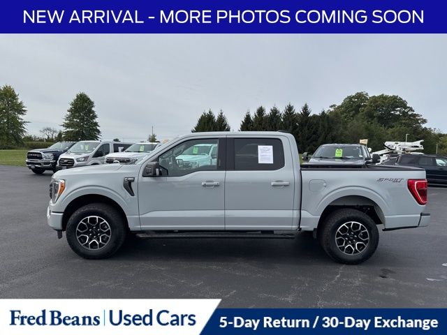 2023 Ford F-150 XLT photo 4