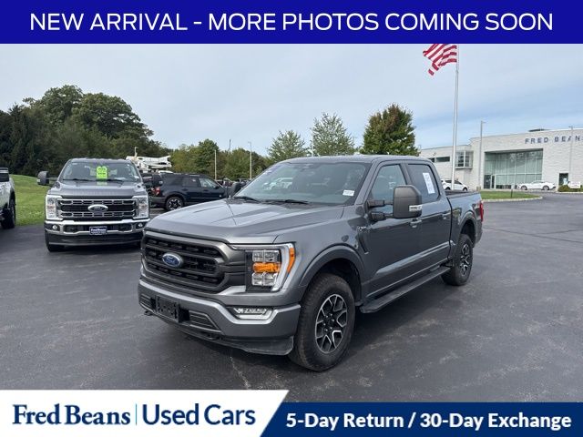 2023 Ford F-150 XLT photo 3