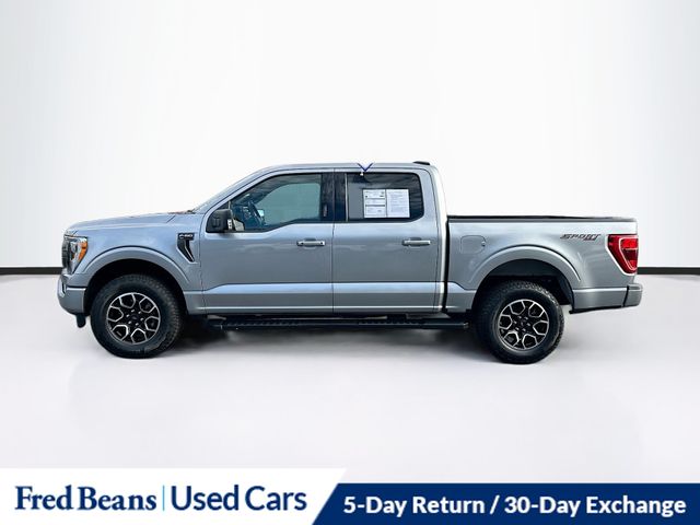 2023 Ford F-150 XLT photo 4