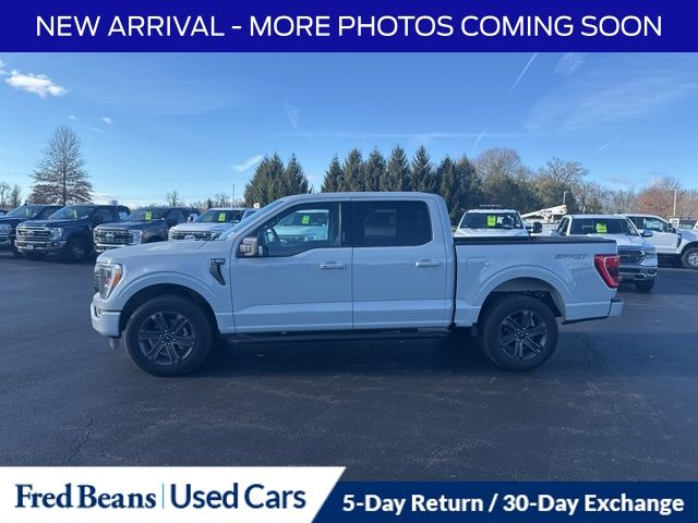 2023 Ford F-150 XLT photo 4
