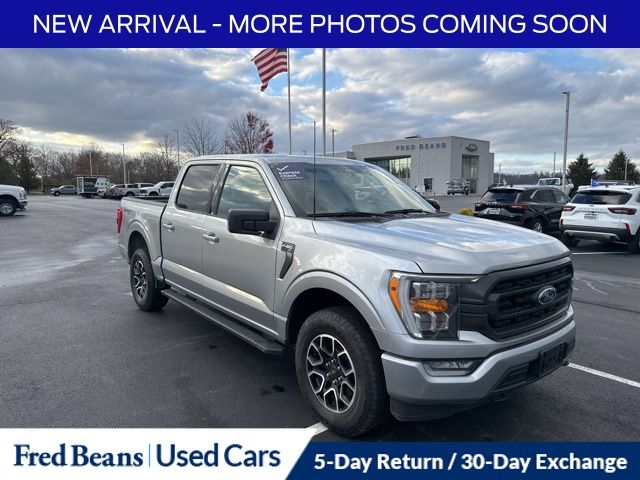 2023 Ford F-150 XLT's photo