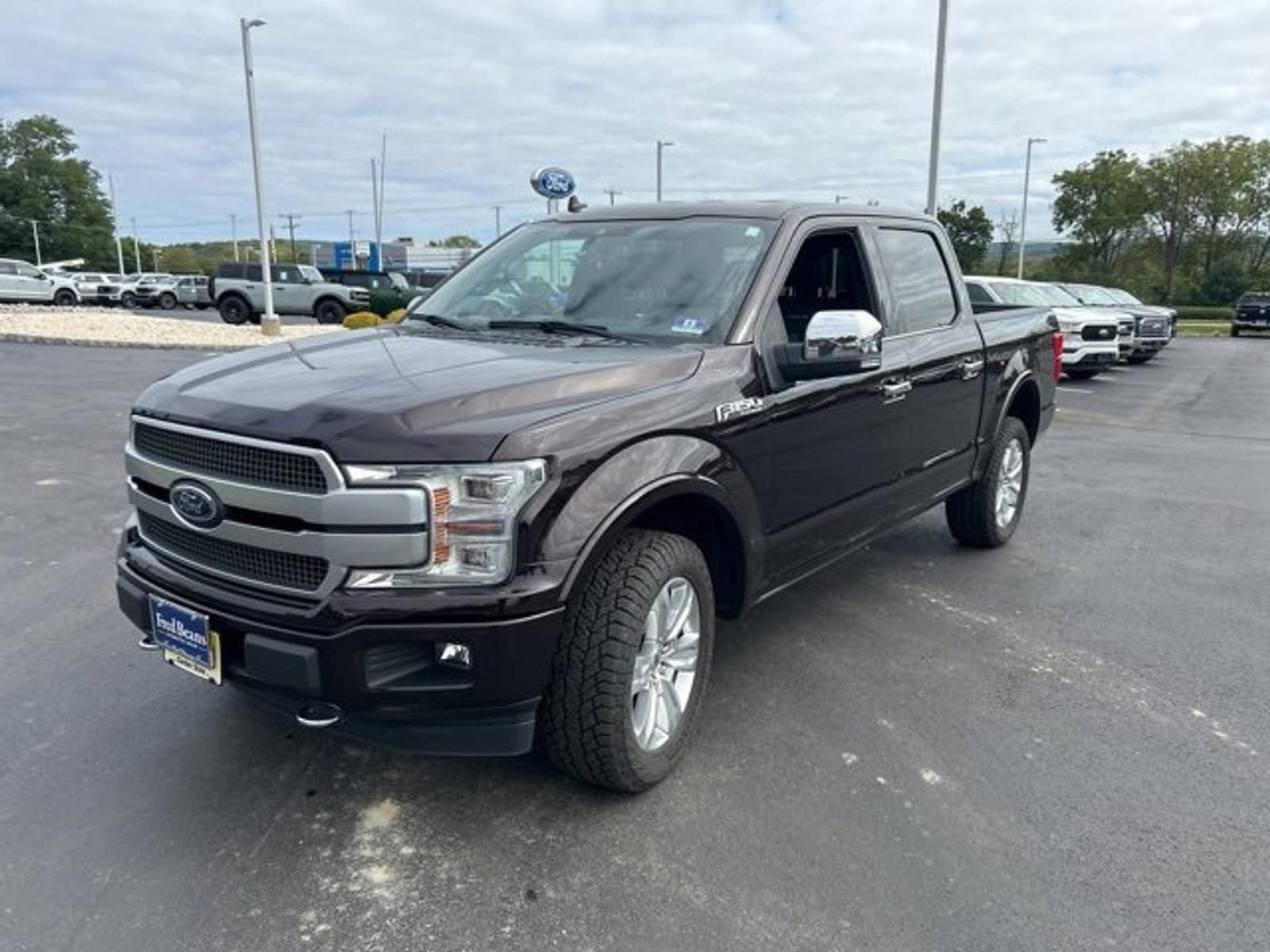 Used 2019 Ford F-150 Platinum with VIN 1FTEW1E46KFC49179 for sale in Washington, NJ