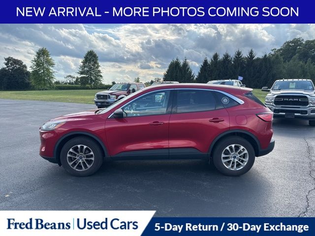 2022 Ford Escape SE photo 4
