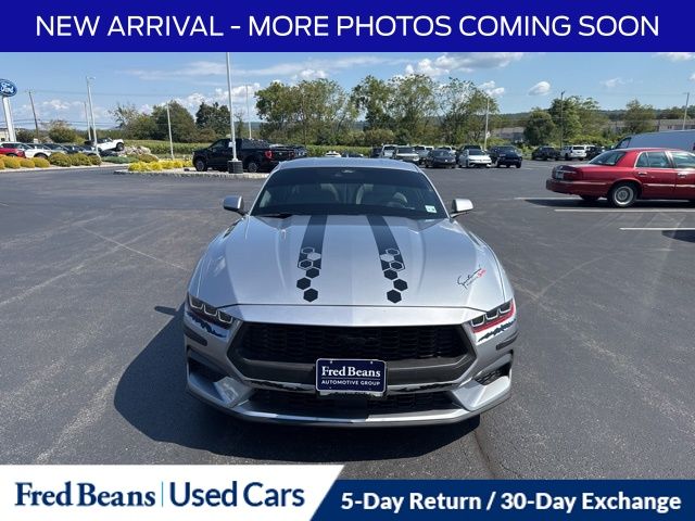 2024 Ford Mustang EcoBoost Premium photo 2
