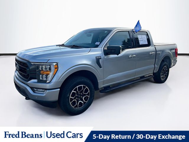 2023 Ford F-150 XLT photo 3