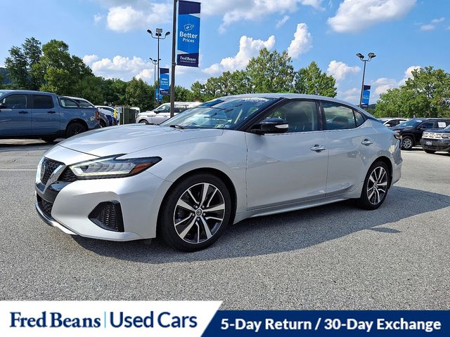 2019 Nissan Maxima SV photo 4