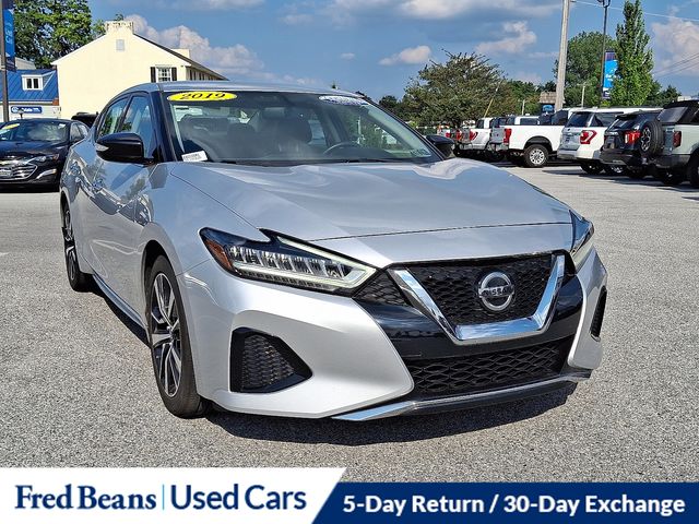 2019 Nissan Maxima SV photo 2