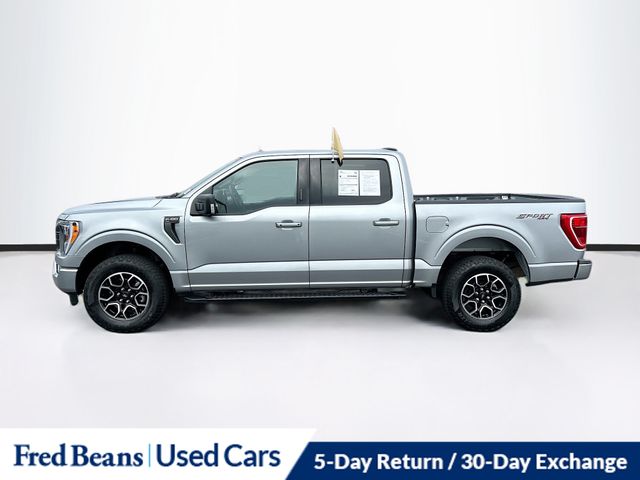 2023 Ford F-150 XLT photo 4