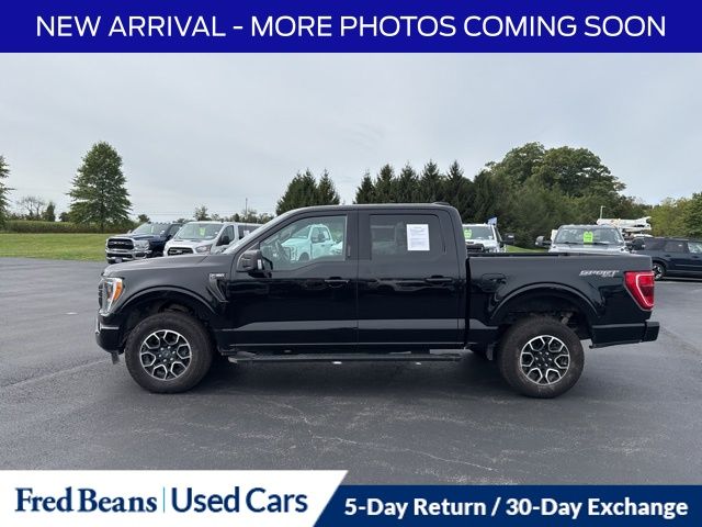 2023 Ford F-150 XLT photo 4