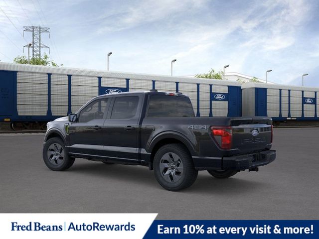 2025 Ford F-150 STX photo 3