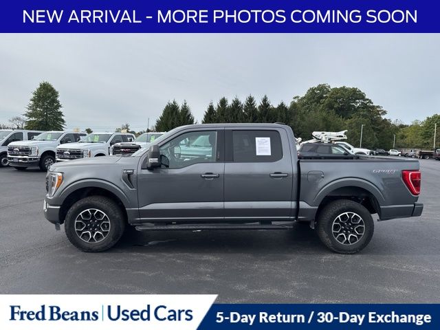 2023 Ford F-150 XLT photo 4