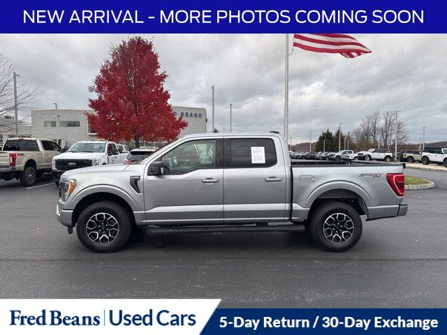 2023 Ford F-150 XLT photo 4