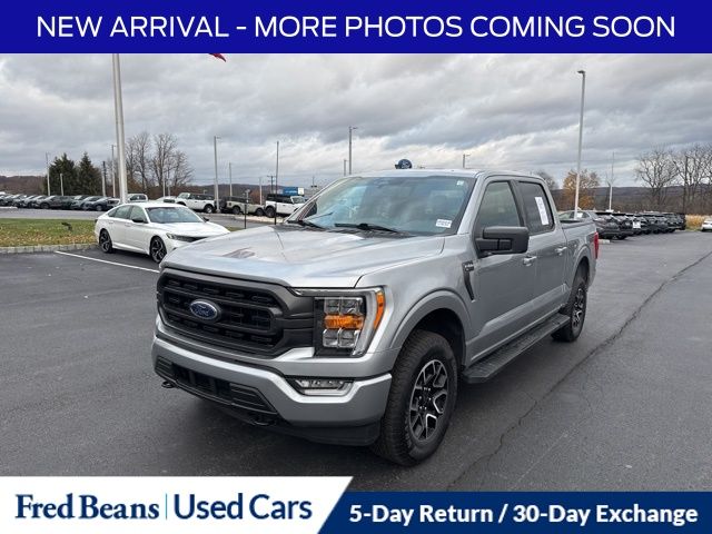2023 Ford F-150 XLT photo 3
