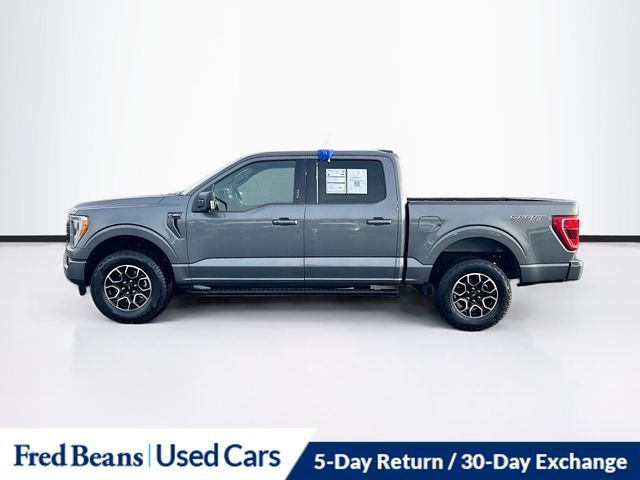 2023 Ford F-150 XLT photo 4
