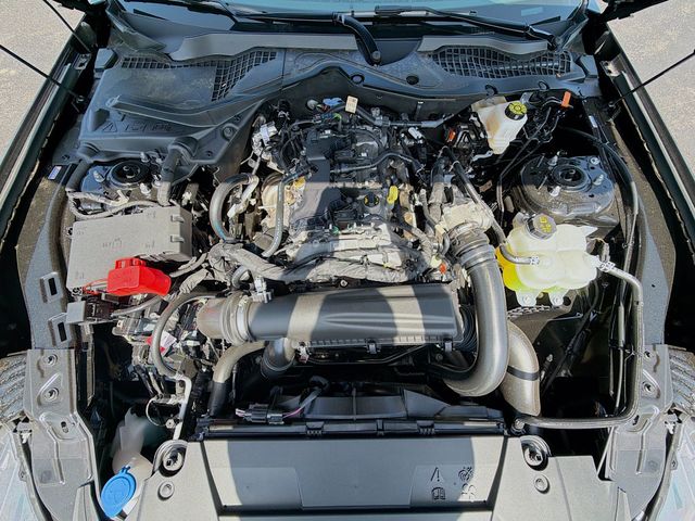 2026 Ford Mustang EcoBoost Fastback - Photo 34