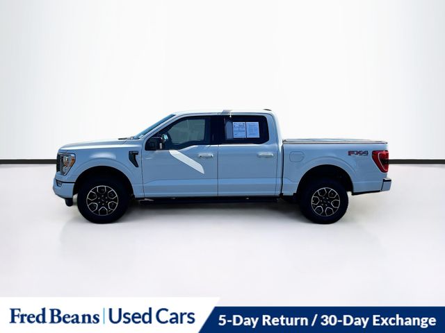 2023 Ford F-150 XLT photo 4
