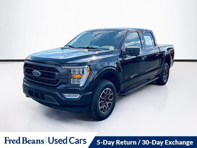 2023 Ford F-150 XLT photo 3