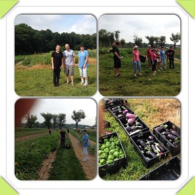 Hope of the Harvest Volunteers