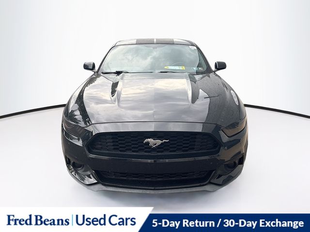 2015 Ford Mustang EcoBoost Premium photo 2