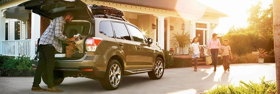 Subaru Forester Cargo Space Doylestown Pa Fred Beans Subaru